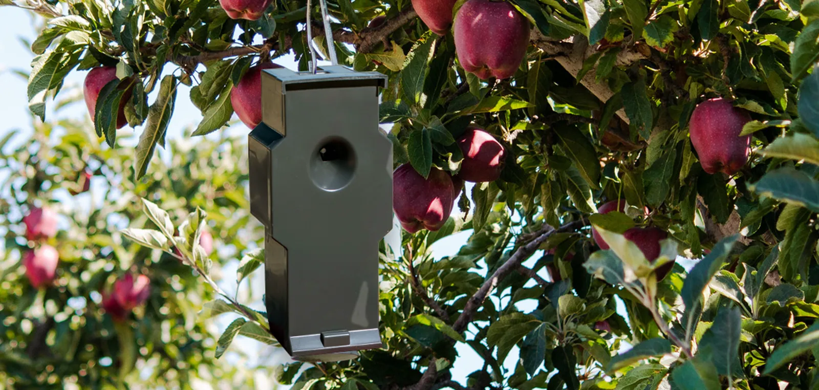 Public-Use Smart Dispensing Projects